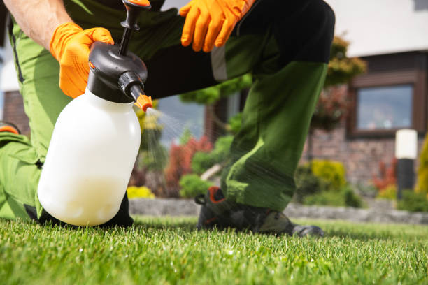 Flea Control Services in Parker, TX