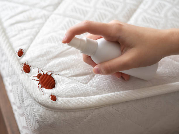 Professional Pest Control in Parker, TX