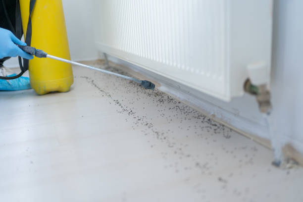 Best Best Pest Control Companies  in Parker, TX