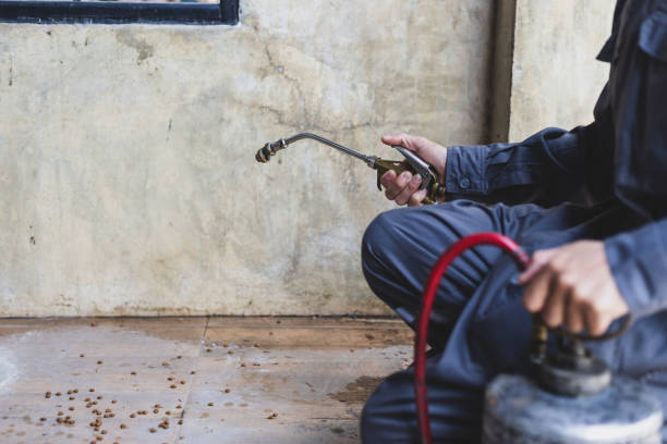 Best Pest Removal Services  in Parker, TX