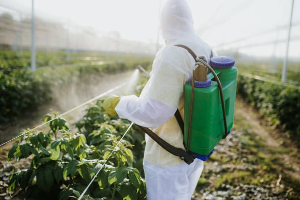 Best Pest Inspection Near Me  in Parker, TX